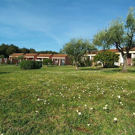 Naturist Park Koversada Villas, Vrsar Exterior foto